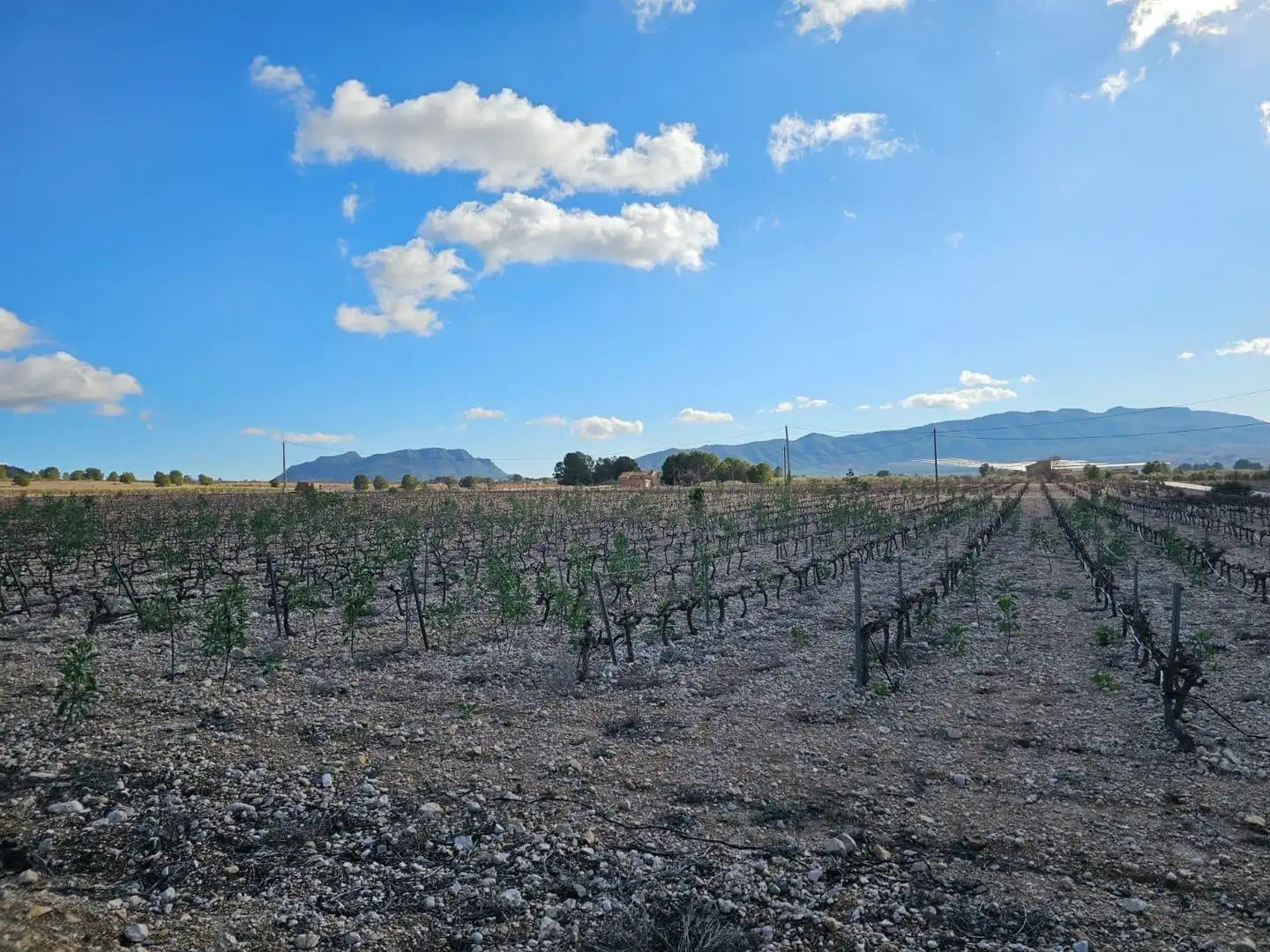 Residencial en venta en Salinas