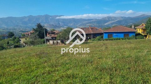 FANTASTICA FINCA EDIFICABLE EN ARENES DE PARRES, immagine 5