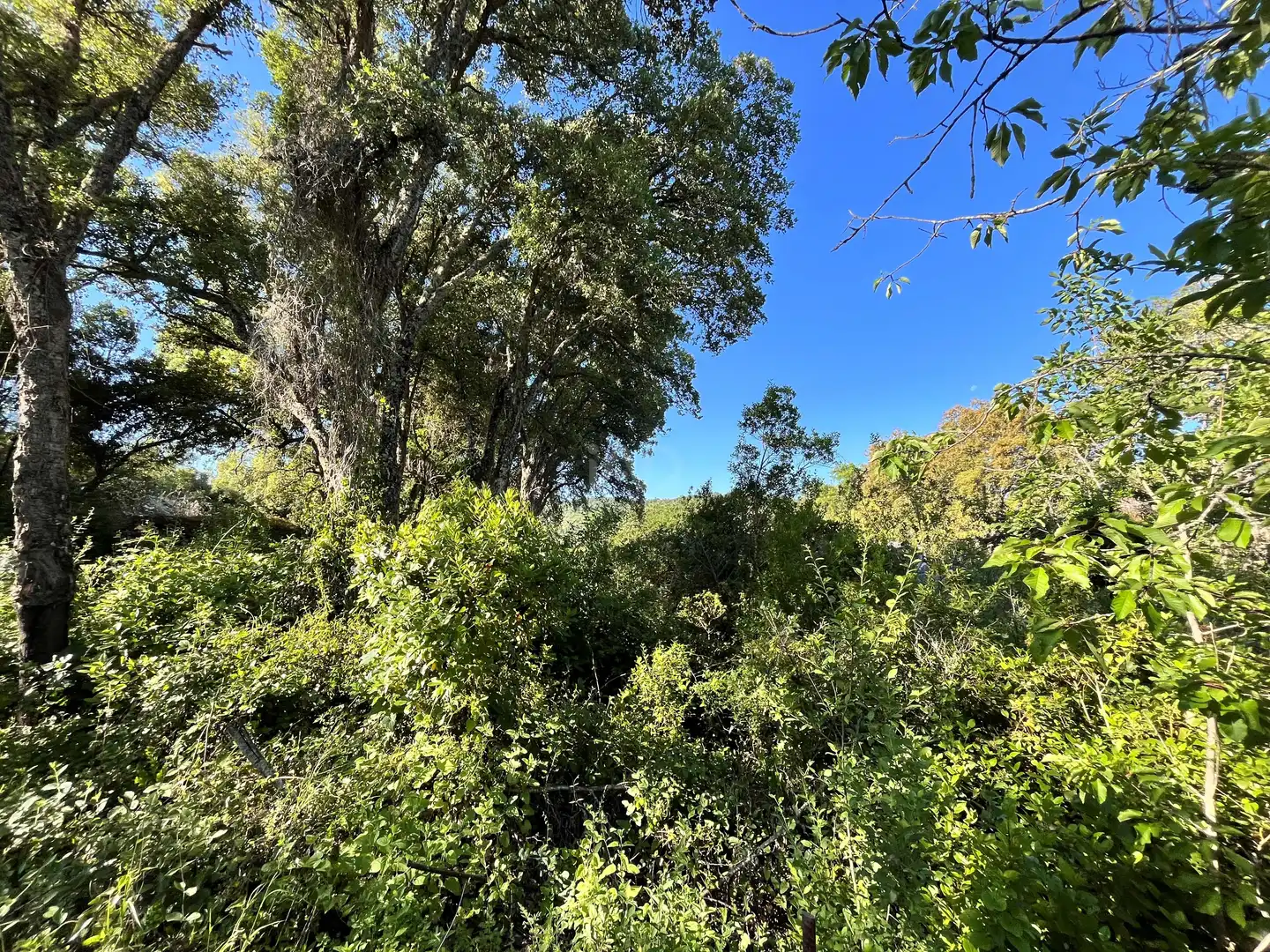 Residential for sale in Fuenteheridos