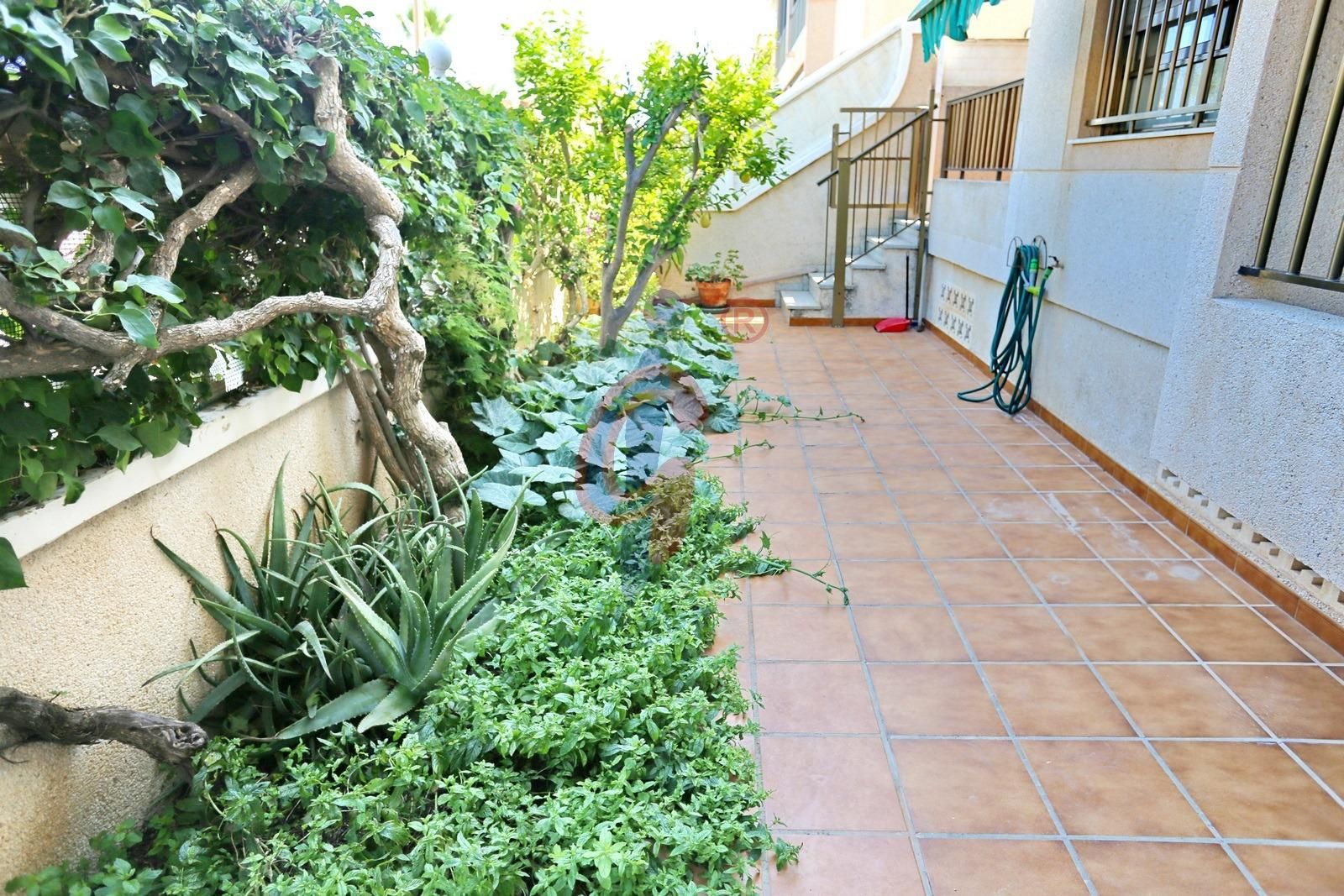 Jardín de Casa o chalet en venta en Guardamar del Segura con Aire acondicionado, Calefacción y Terraza