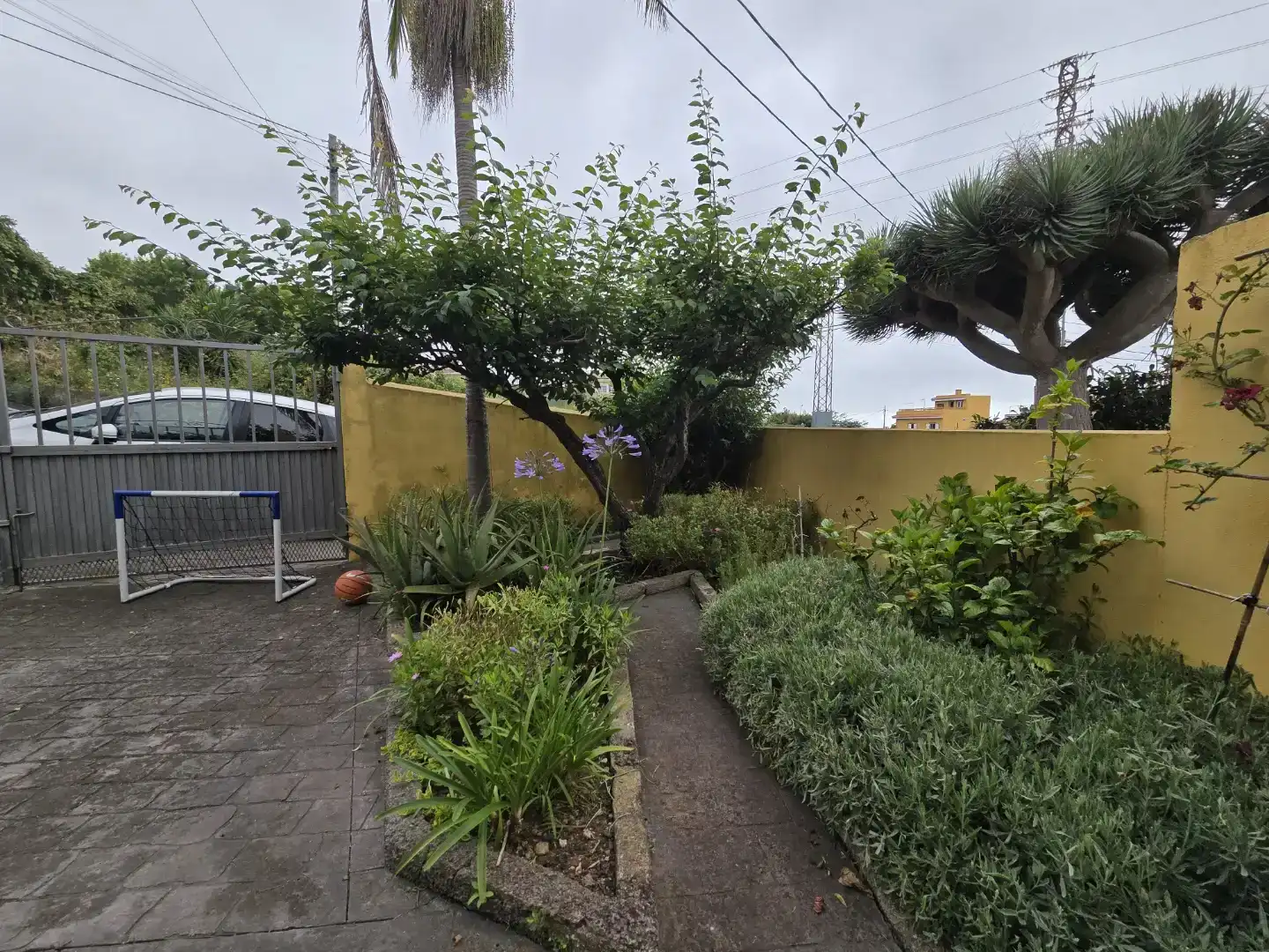 Jardí de Casa o xalet en venda en Tacoronte amb Balcó