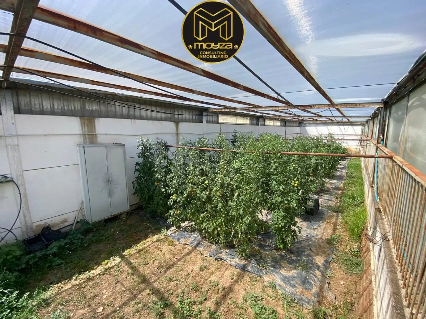 Jardí de Casa o xalet en venda en Linares amb Aire condicionat, Calefacció i Terrassa
