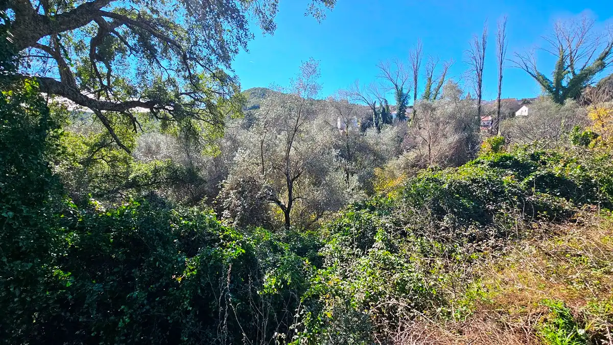 Residencial en venta en Santa Ana la Real