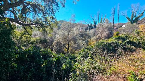 Photo 5 of Residential for sale in Calle Gomez Plana, Santa Ana la Real, Huelva