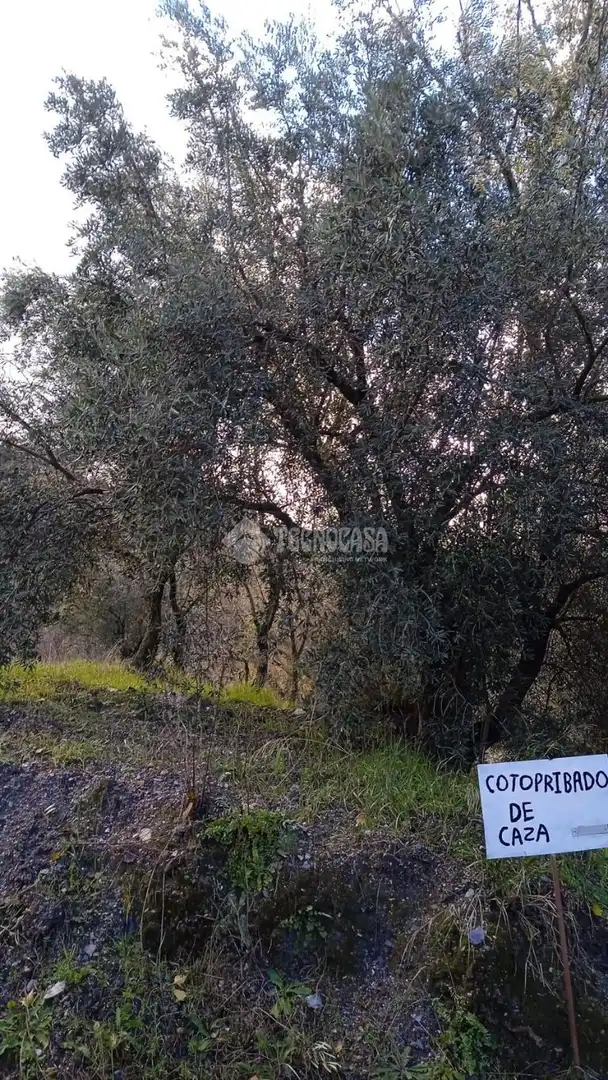 Casa rústica en venda a Torvizcón, imagen 13