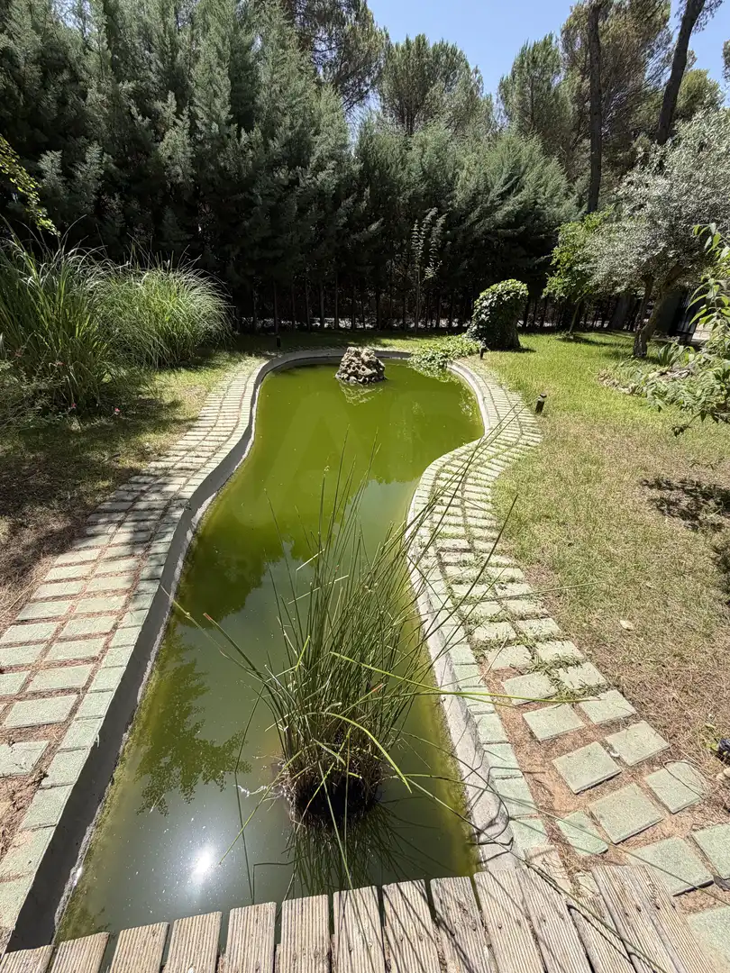 House with pool for sale in Pedanías - Extrarradio, imagen 35