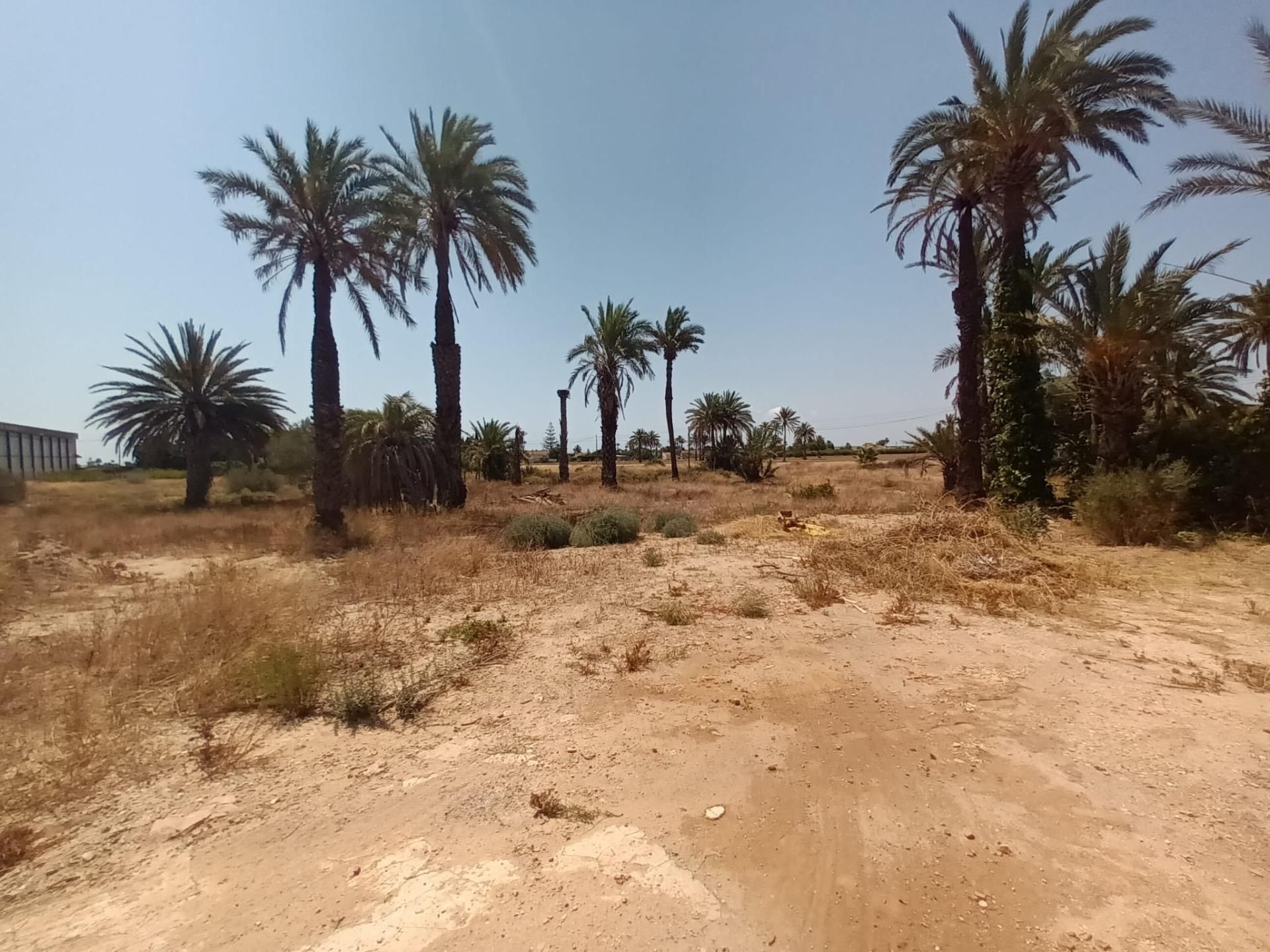 Country house for sale in Elche / Elx  with Private garden and Terrace