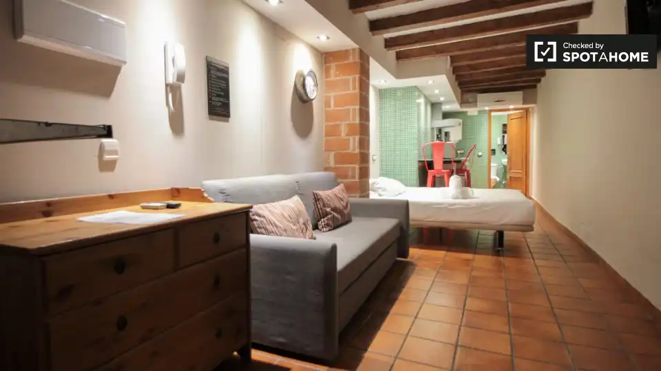 Flat for rent in  Barcelona Capital  with Air Conditioner, Heating and Furnished