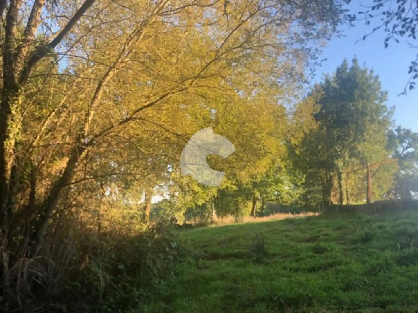Terreni e lotti in vendita a Nogueira de Ramuín, imagen 44