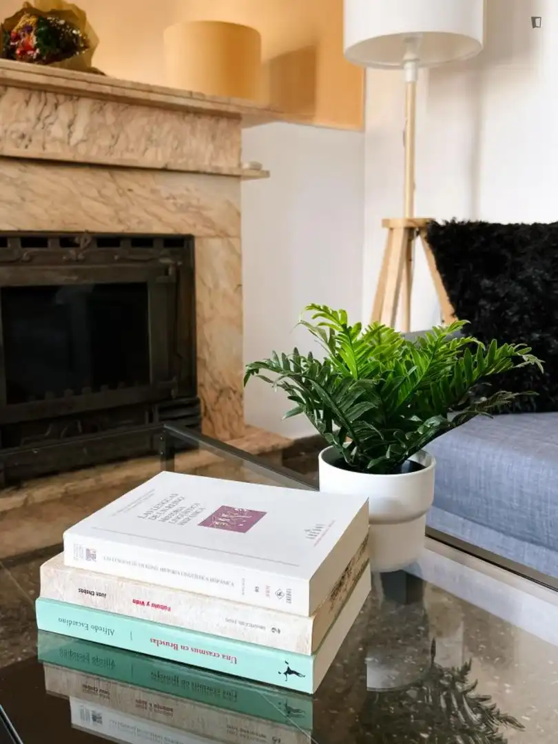 Apartamento de alquiler en Mont-Olivet