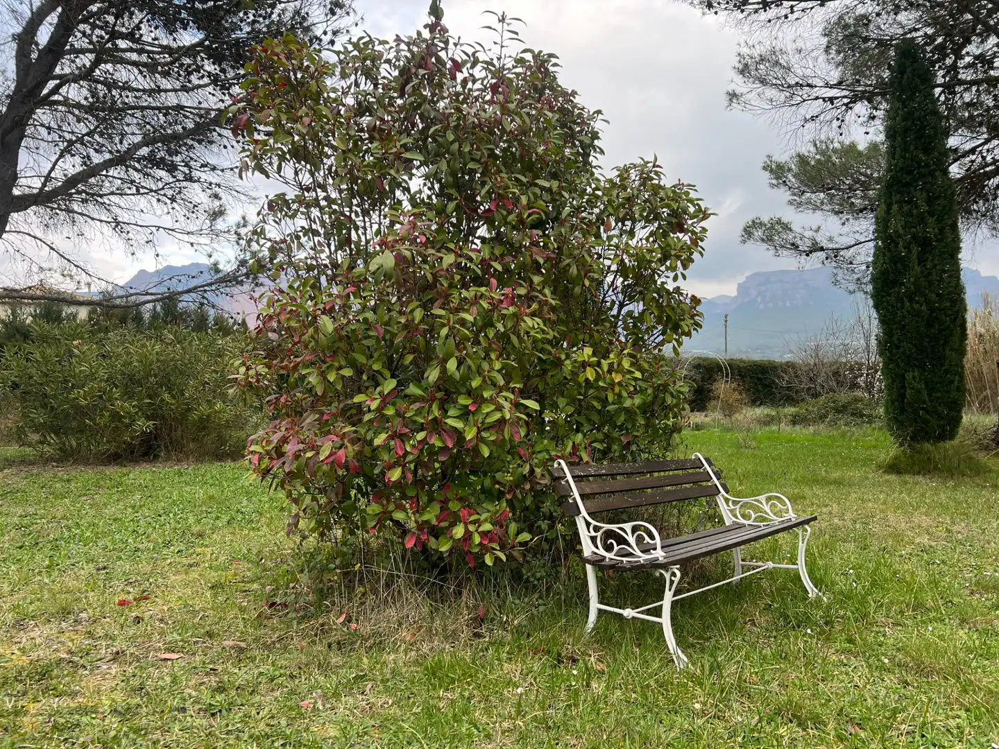 Jardín de Casa o chalet en venta en Murillo de Gállego