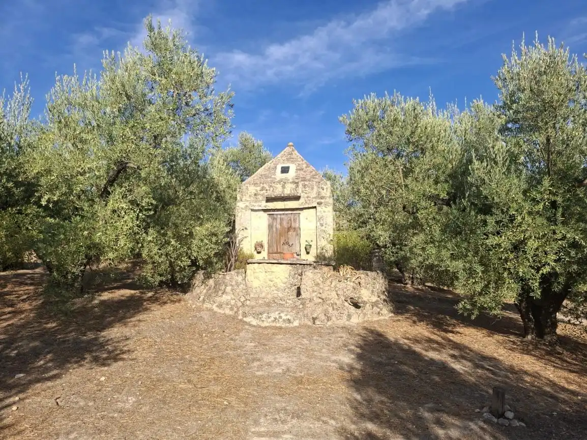 Vista exterior de Terreny en venda en Montilla, Córdoba