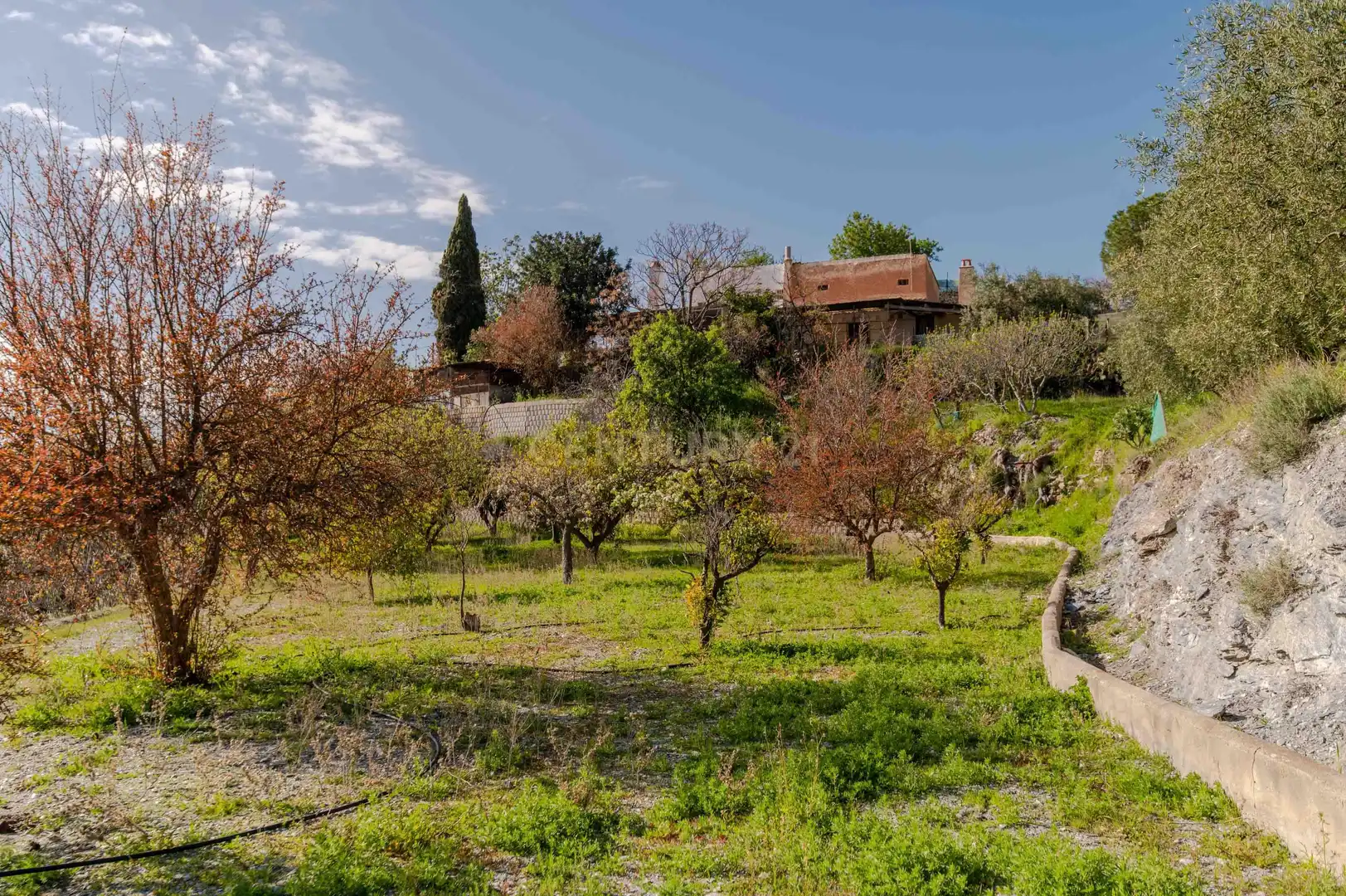 Jardín de Casa o chalet en venta en Vélez de Benaudalla con Trastero y Horno