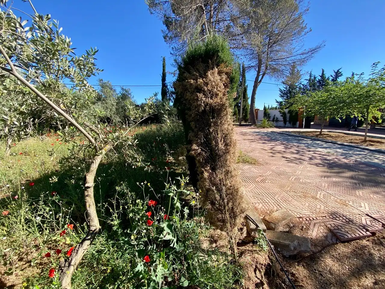 Xalet amb jardí en venda a Camino del Calvario, imagen 15