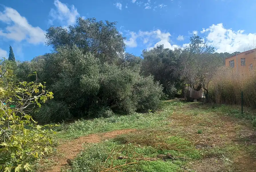 Terreny residencial en venda a Carrer del Mas d'en Gou 11