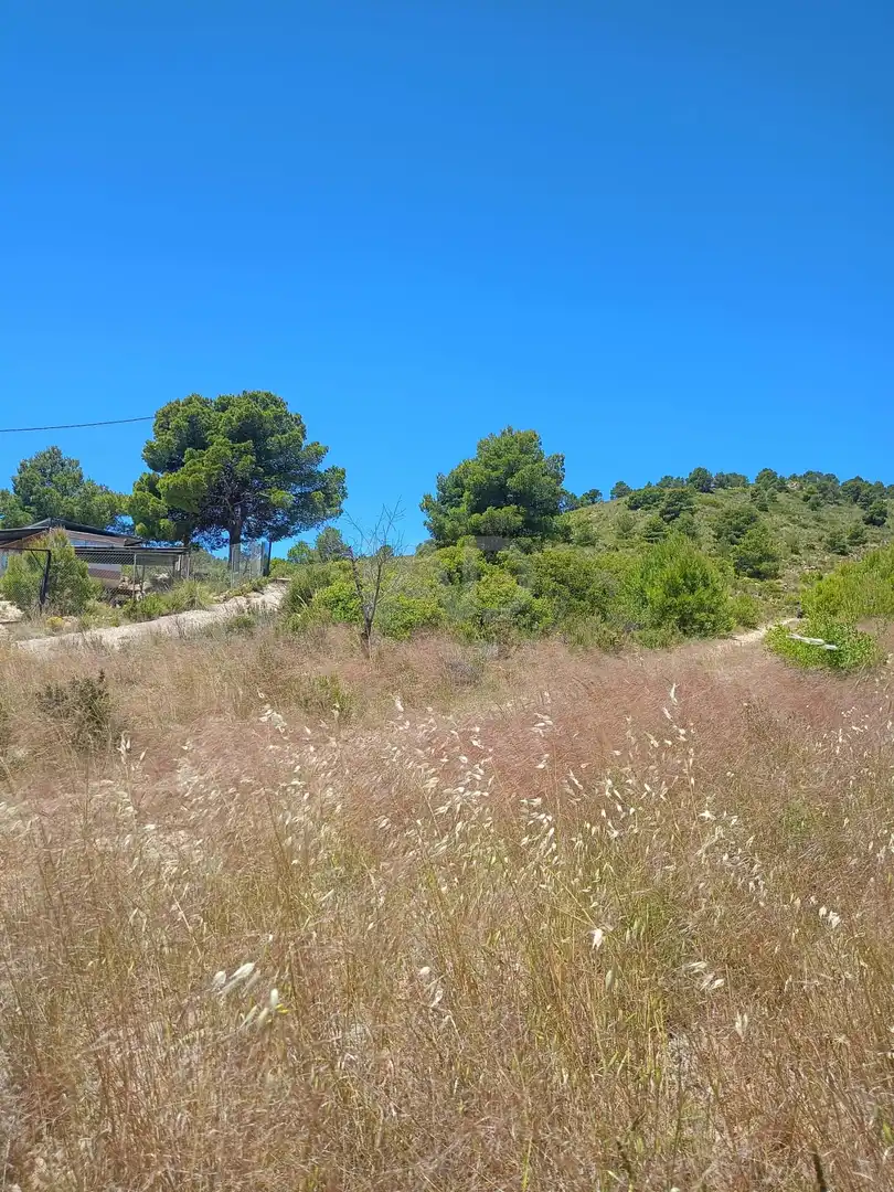 Terreno en venta en Lorca
