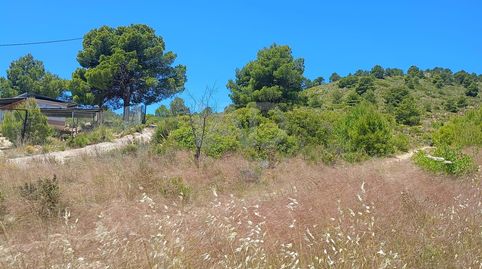 Foto 3 de Terreno en venta en Zarzadilla de Totana, Lorca