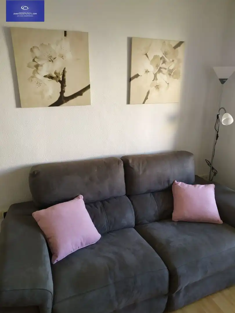Living room of Flat for rent in Cádiz  with Air Conditioner, Heating and Furnished