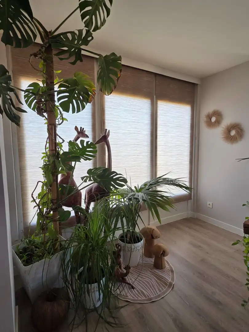 Vista exterior de Piso en venta en Calzada de Valdunciel con Calefacción