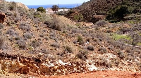 PARCELA EN RAMBLICA DEL POZO CARBONERAS, immagine 5