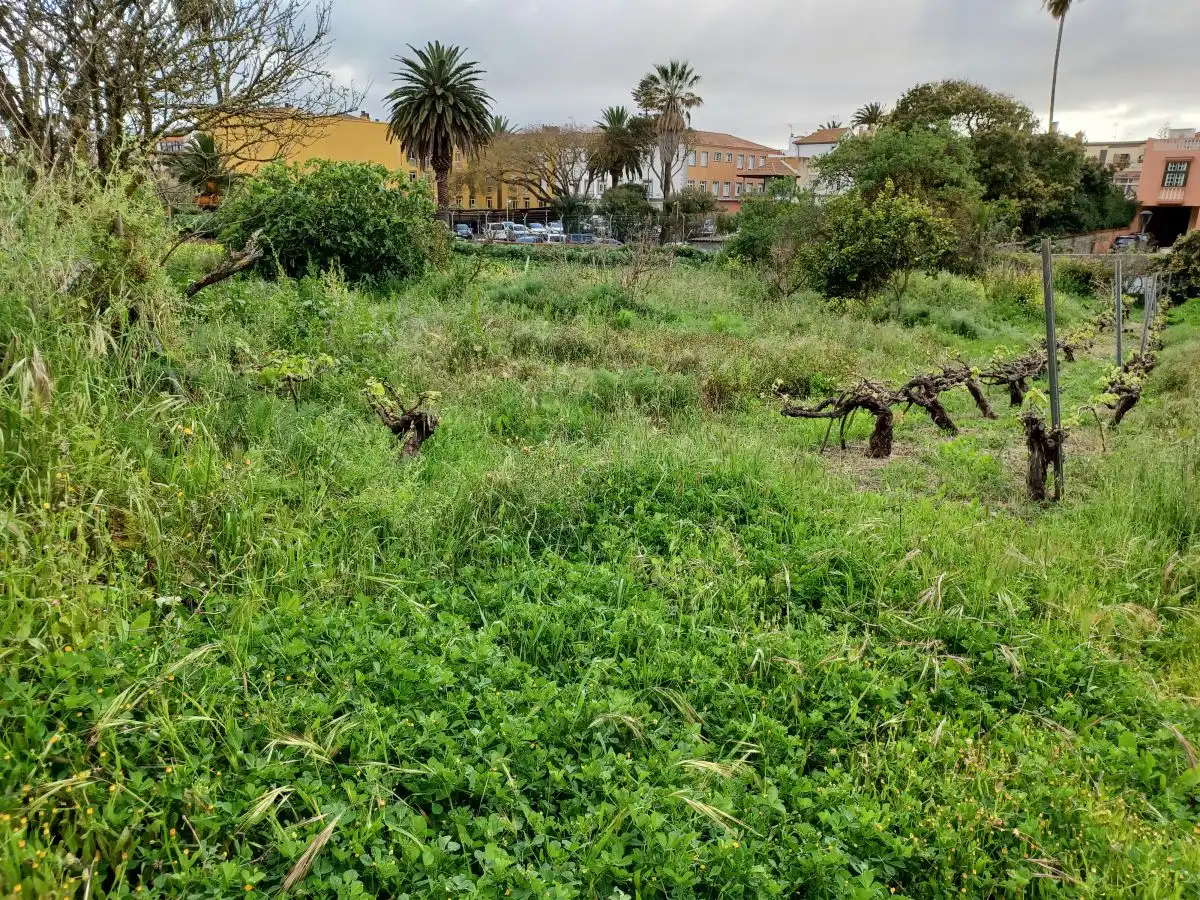 Terrenys i solars en venda a La Laguna, imagen 2