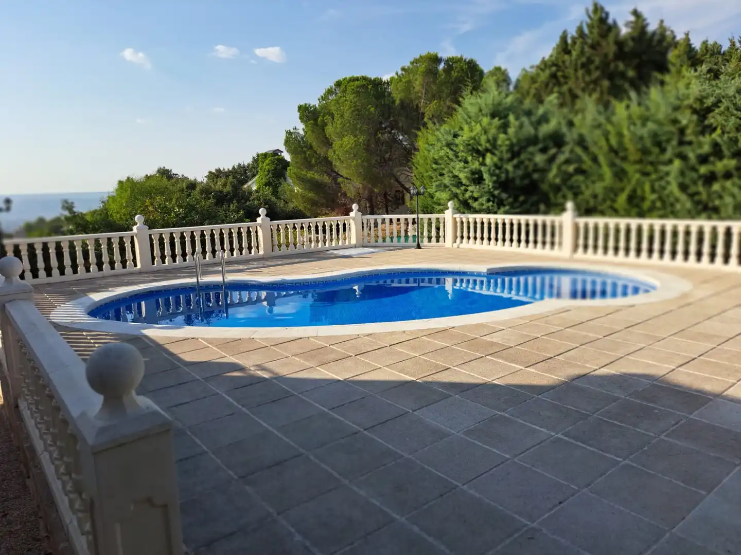 Piscina de Casa o xalet en venda en Albalate de Zorita amb Calefacció, Jardí privat i Terrassa