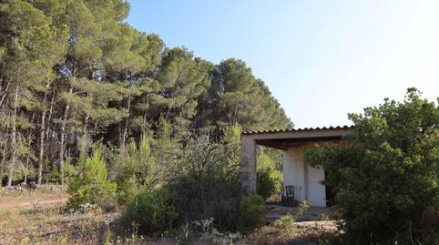 Foto 3 de Terreno en venta en Gaianes, Alicante
