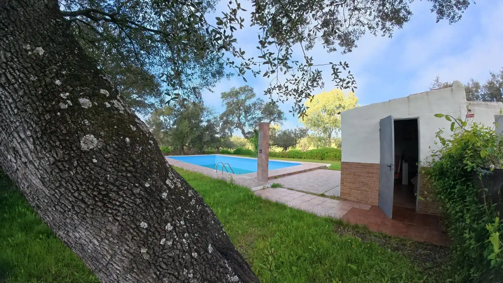 Piscina de Casa o chalet en venta en Badajoz con Jardín privado, Terraza y Piscina