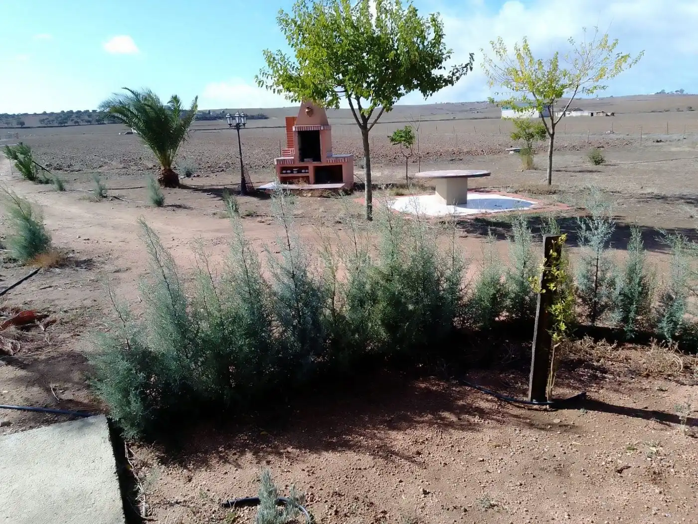 Terreny residencial en venda a Plaza Monseñor Miguel Castillejo 1, imagen 4