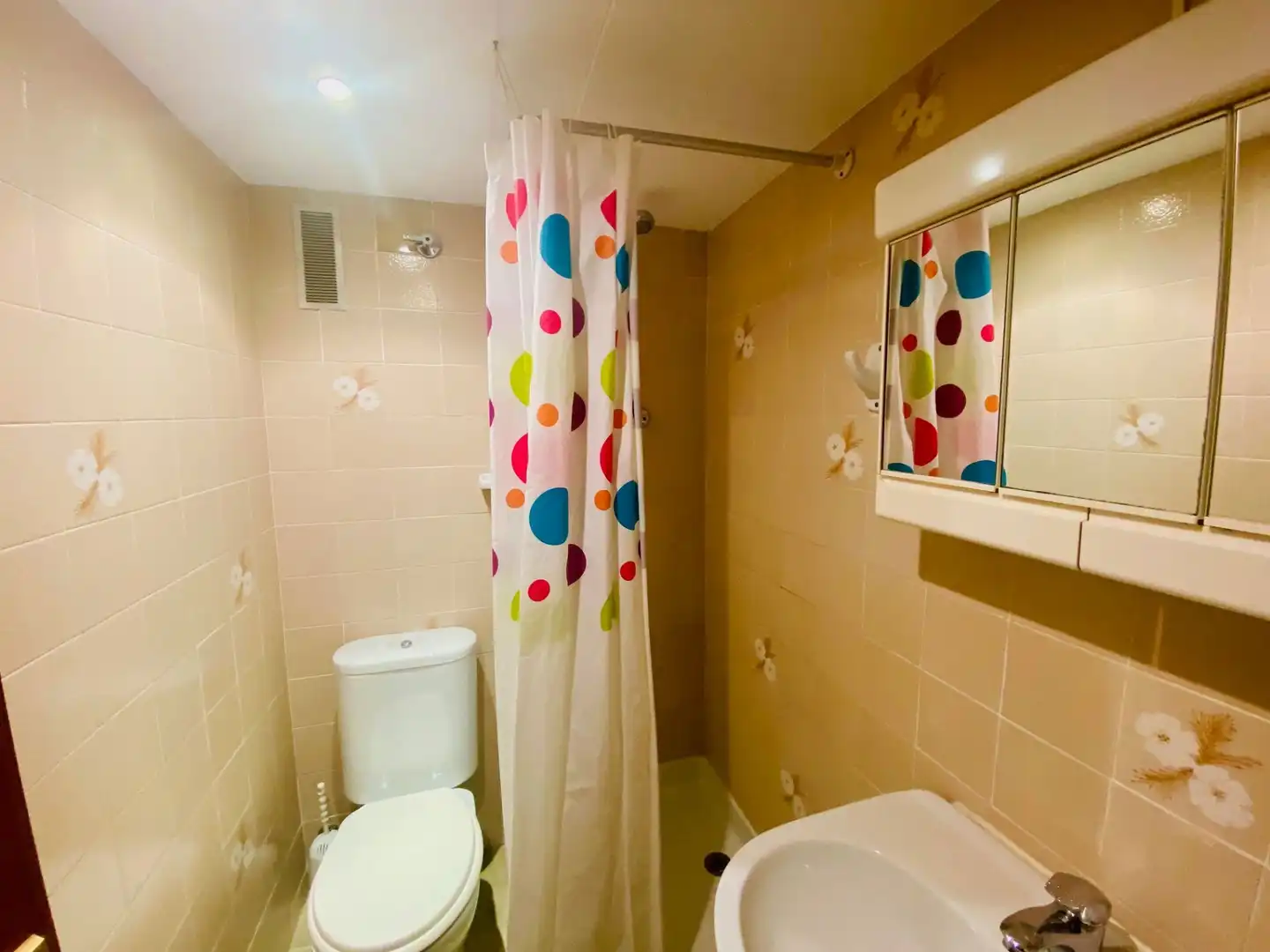 Apartament amb ascensor de lloguer a DELTA MUGA 4, imagen 9