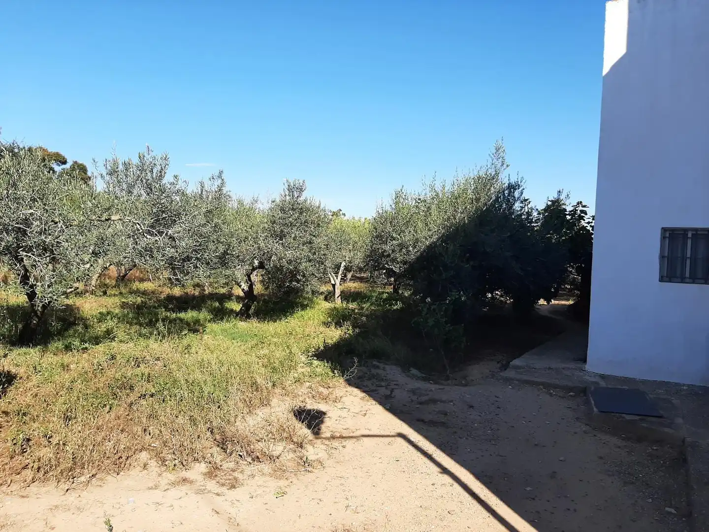 Finca rústica en venda en Reus