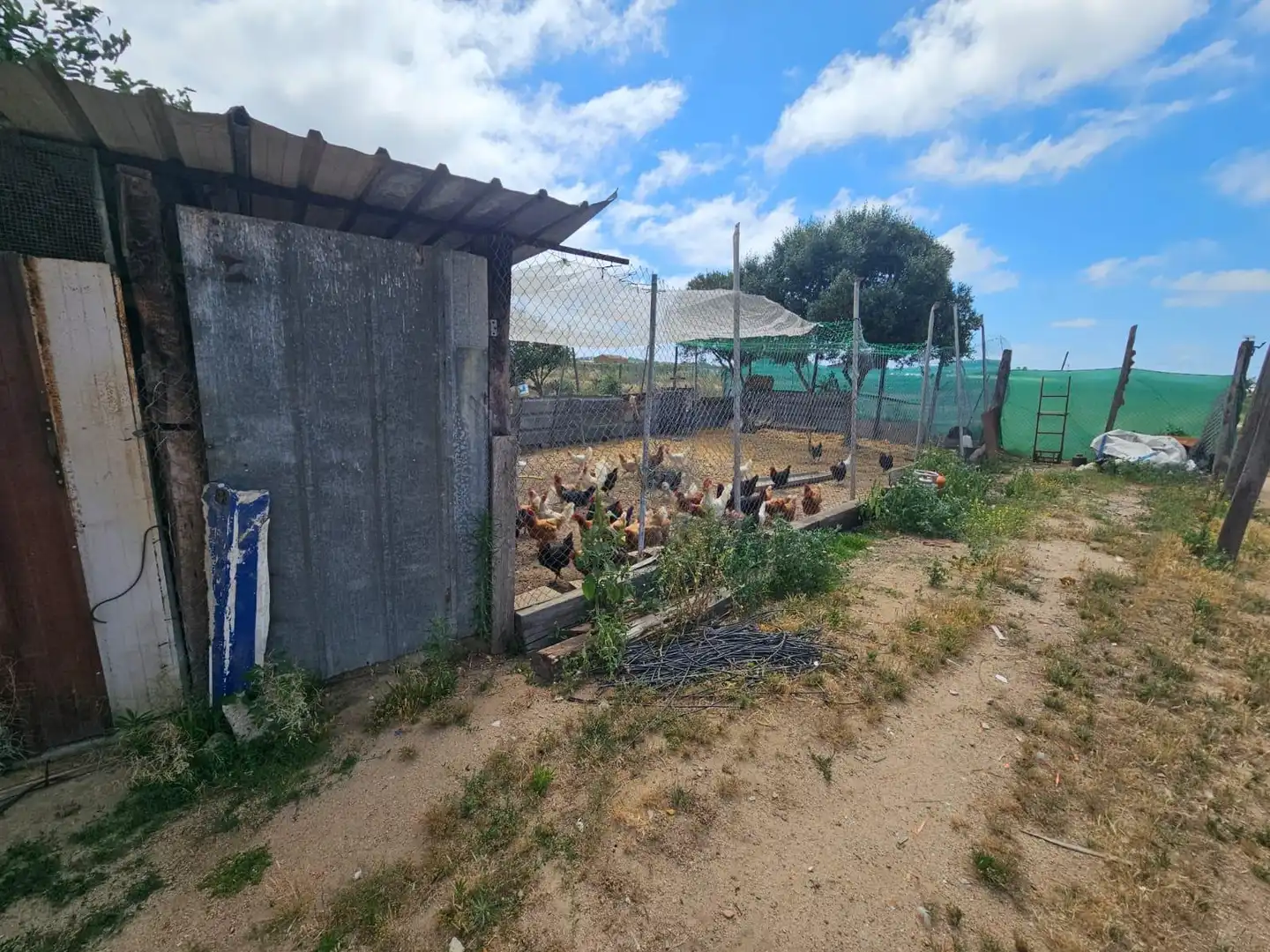 Rustikales Grundstück zum Verkauf in Malgrat de Mar, imagen 4