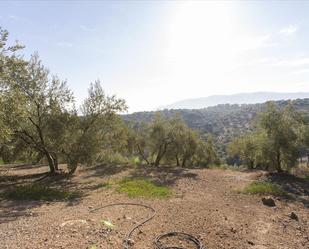 Land for sale in Loja