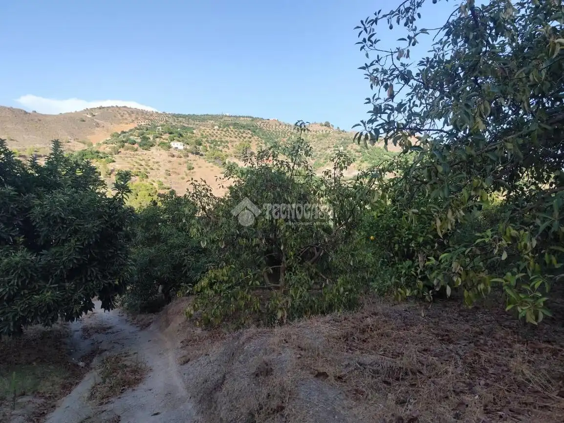 Terreno rustico in vendita a Los Guájares, imagen 9
