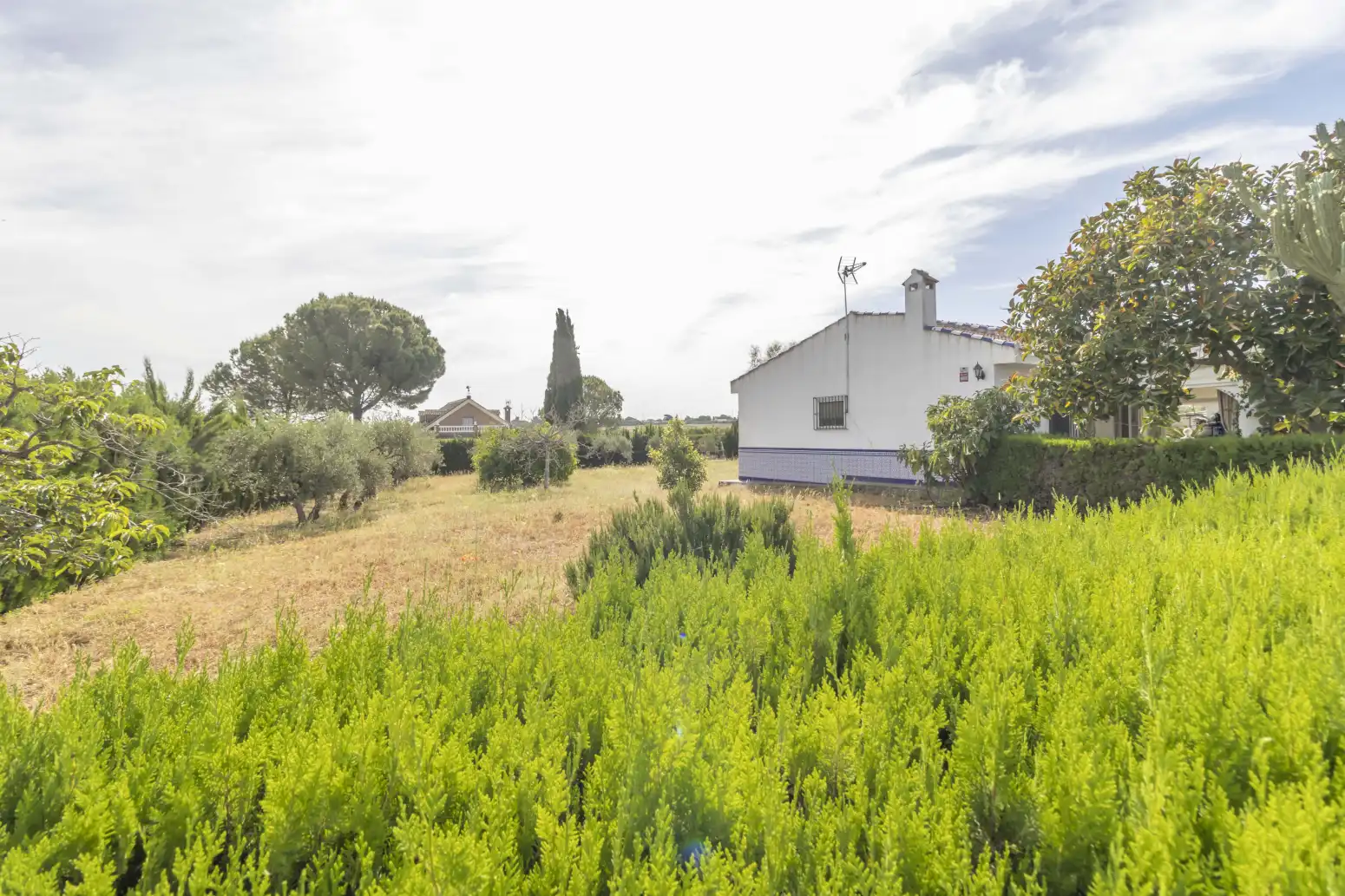 Casa o chalet en venta en Carmona con Piscina