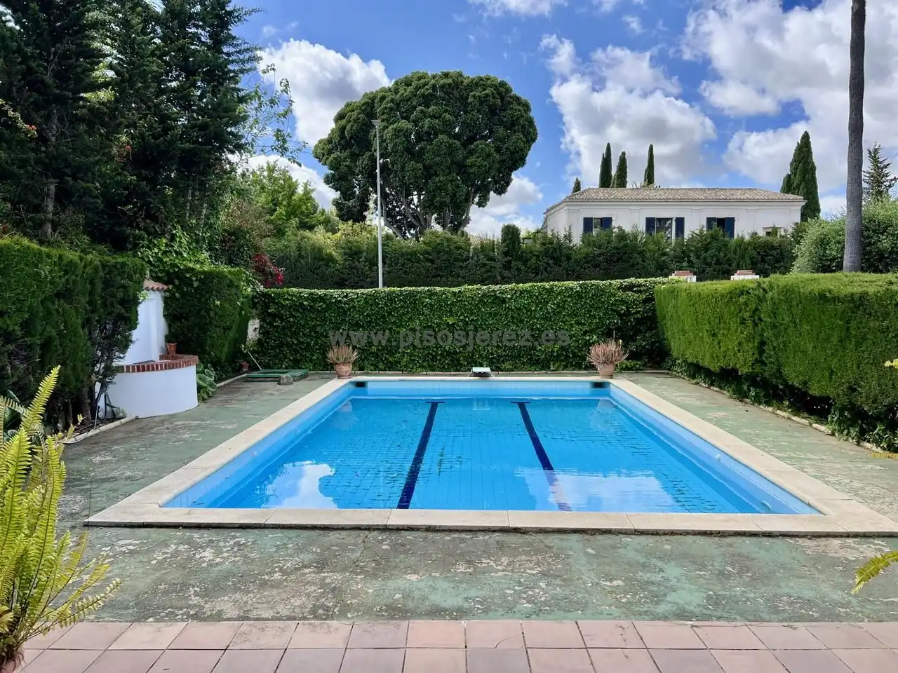 Swimming pool of Houses for sale in Jerez de la Frontera