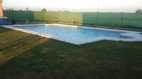 Foto 3 de Finca rústica en venta en Carretera Don Rodrigo, 4, Pedanías Norte, Utrera