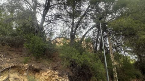 Foto 4 de Residencial en venda a Escandinavia - Cautivador, L'Alfàs del Pi