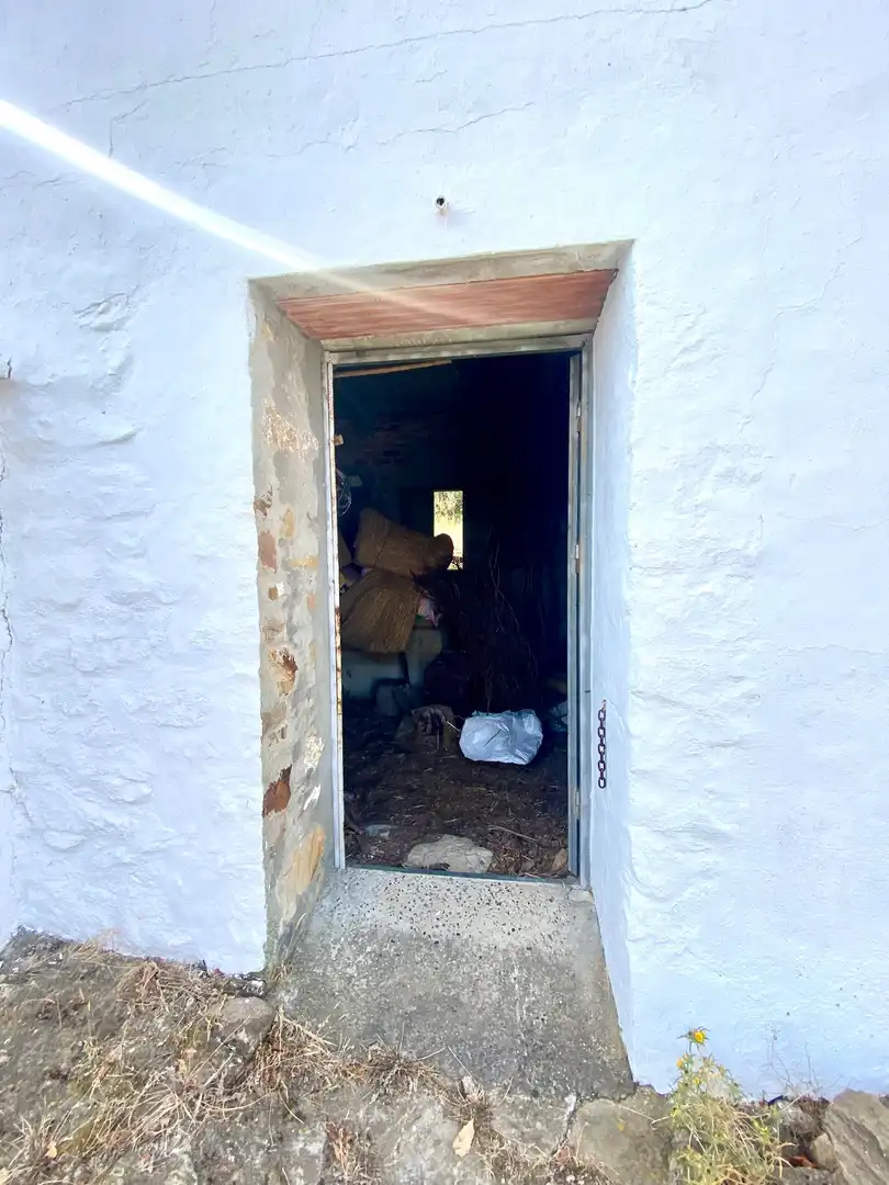 Detached house with garden for sale in Facinas, imagen 5