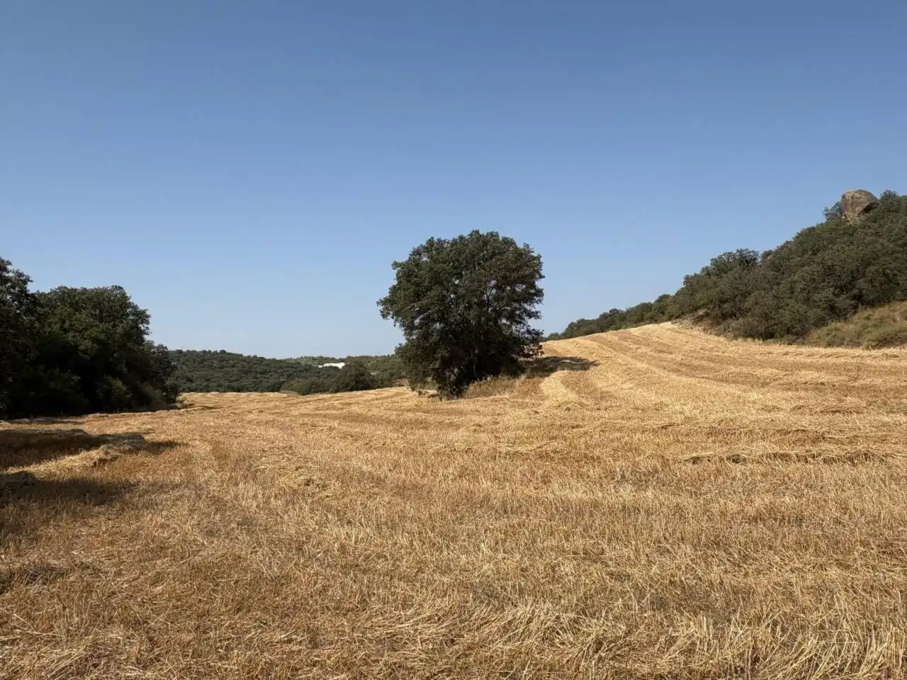 Terreno en venta en San Esteban de Litera