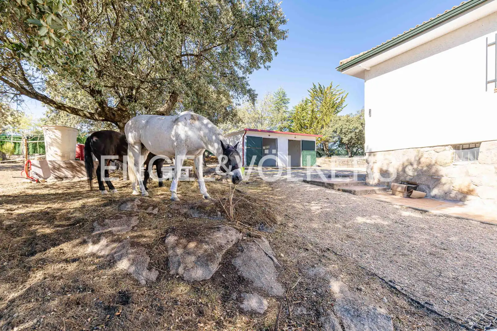 Vista exterior de Finca rústica en venta en Valdemorillo con Calefacción, Jardín privado y Piscina