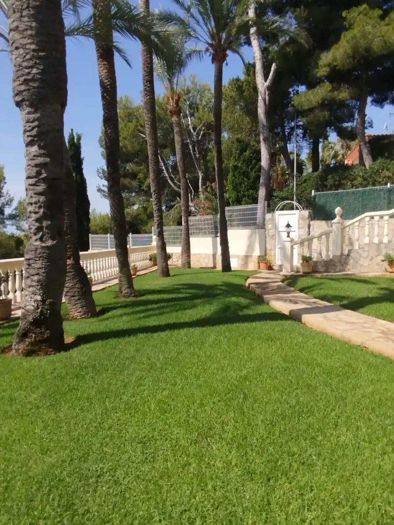 Jardí de Residencial en venda en Alcalà de Xivert