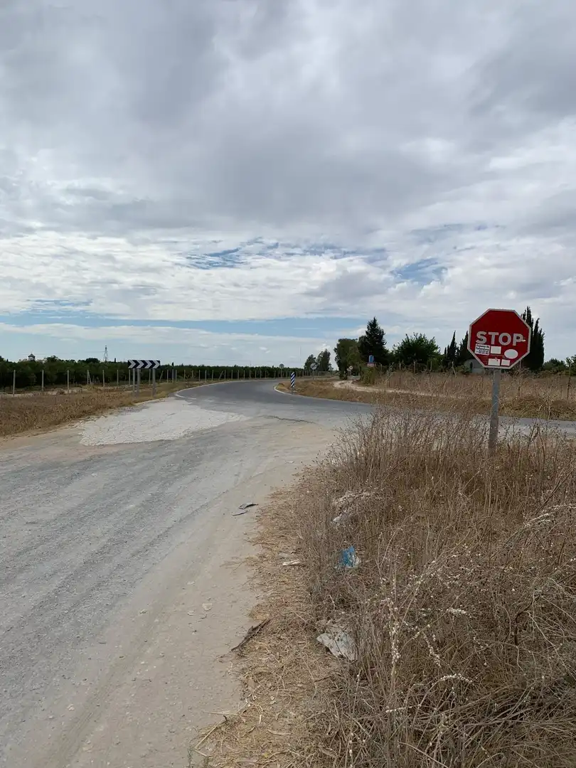 Terreni e lotti in vendita a Pedanías Norte, imagen 2