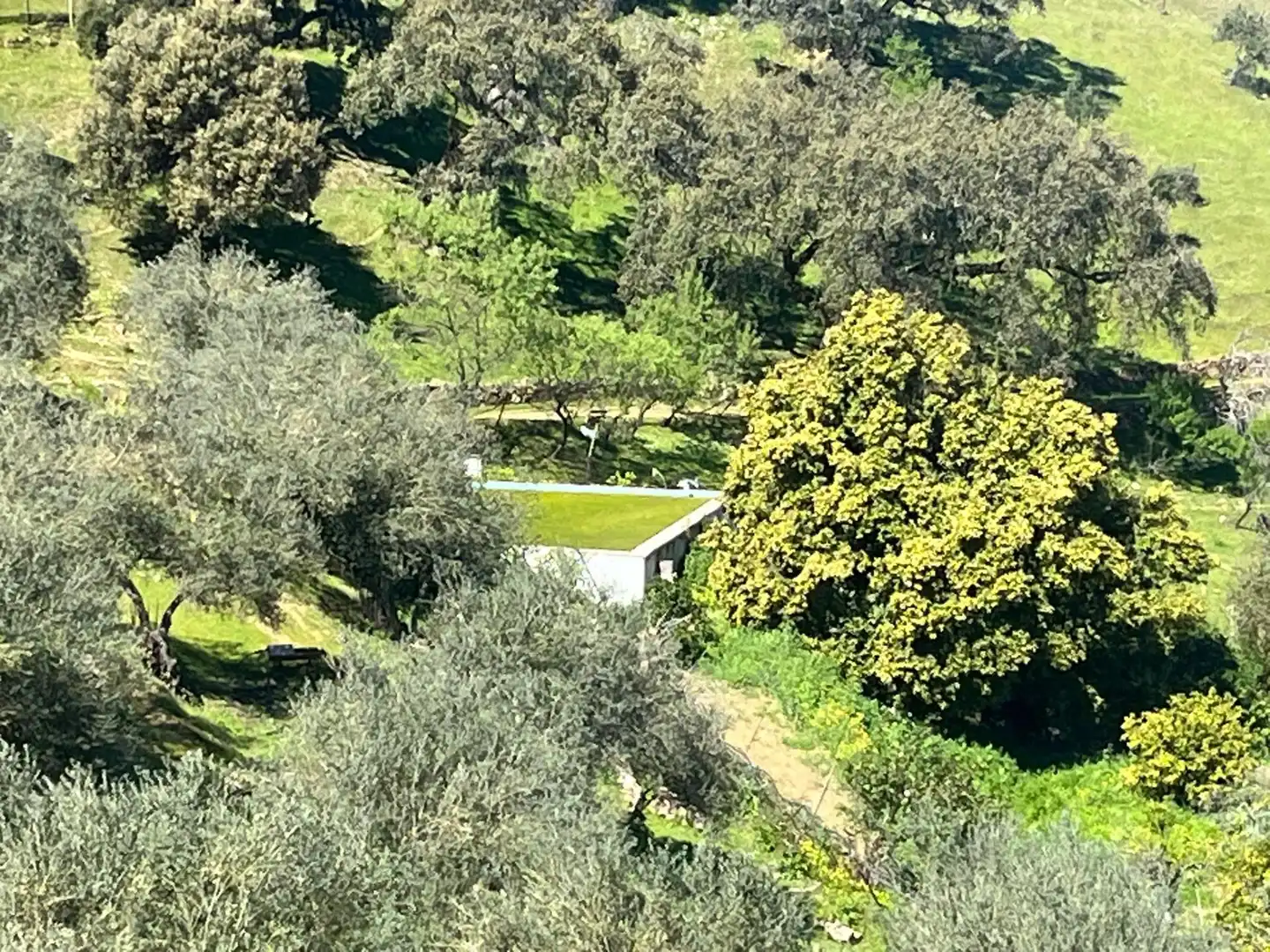 Terreni e lotti in vendita a Zufre, imagen 26
