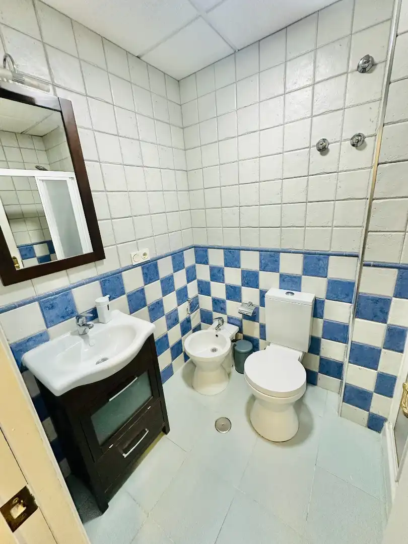 Studio mit Aufzug zur Miete in Calle Paz, imagen 6