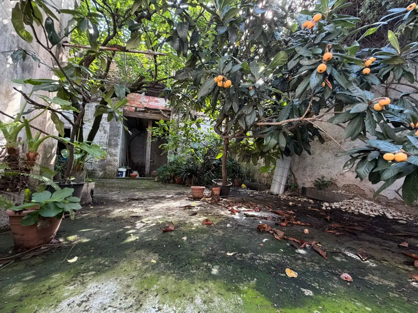 Casa o chalet en venta en Gandia con Jardín privado