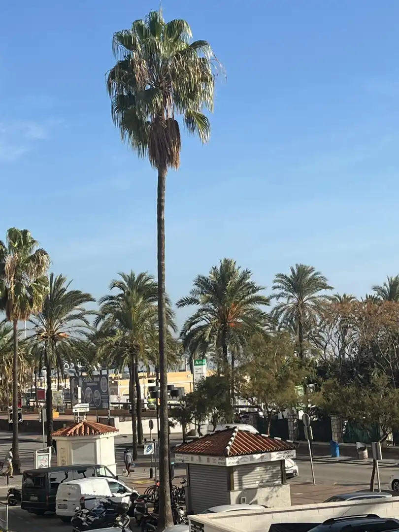 Piso con terraza en venta en Calle MONCAYO 37, imagen 4