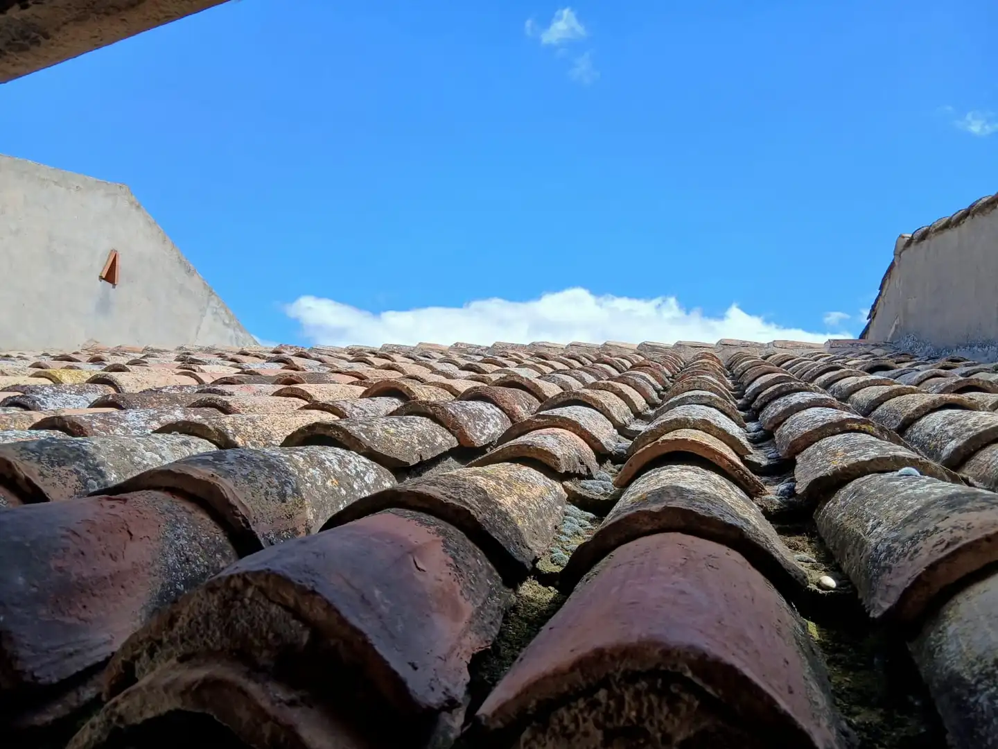 Vista exterior de Finca rústica en venda en Calatorao amb Jardí privat, Terrassa i Moblat