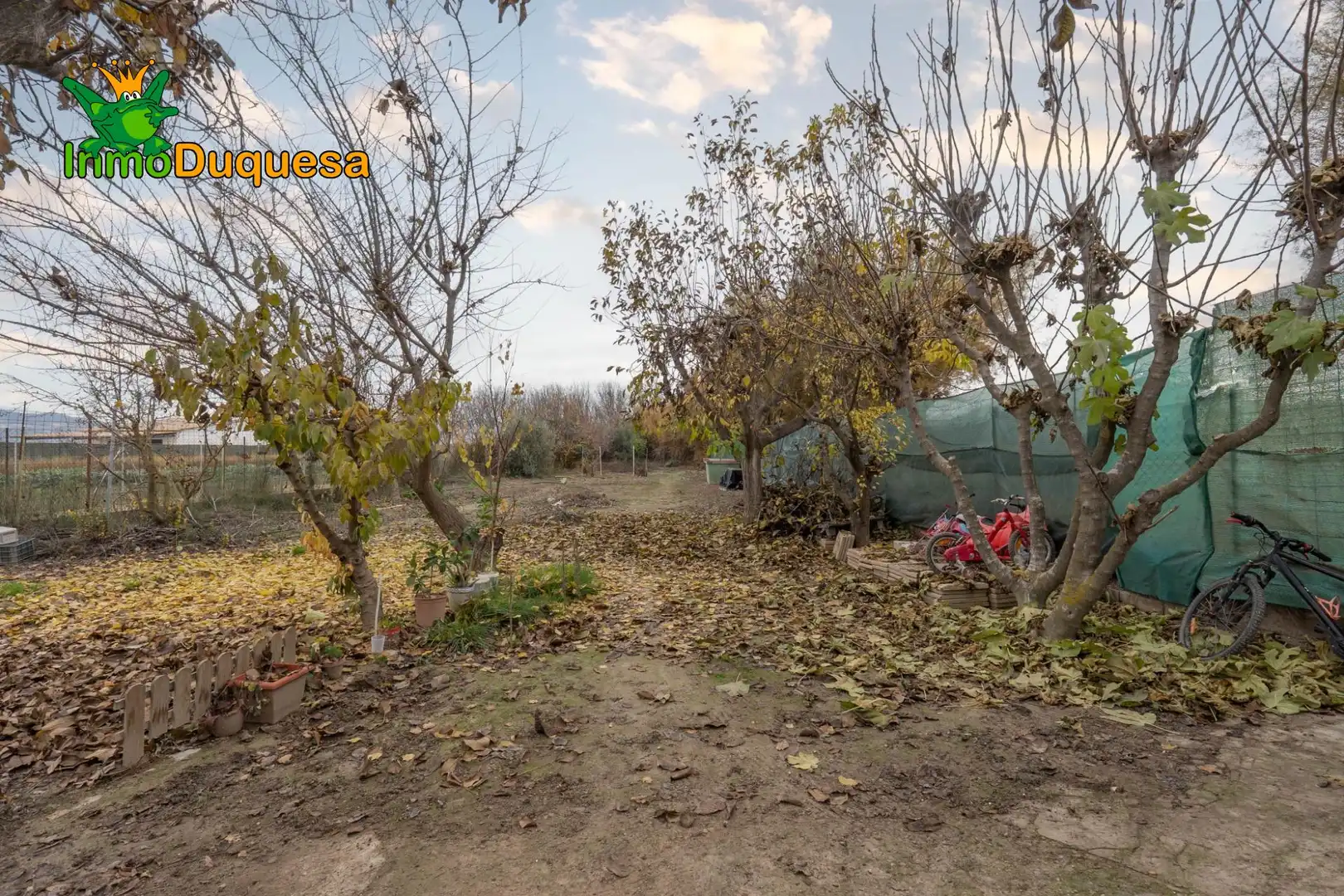 Country homes for sale in Chauchina