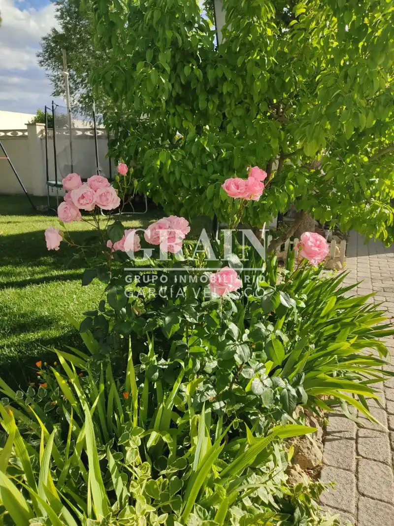 Chalet con piscina en venta en Pedanías - Extrarradio, imagen 46